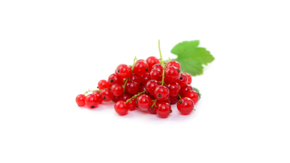 Ribes Il Mercato 125 g