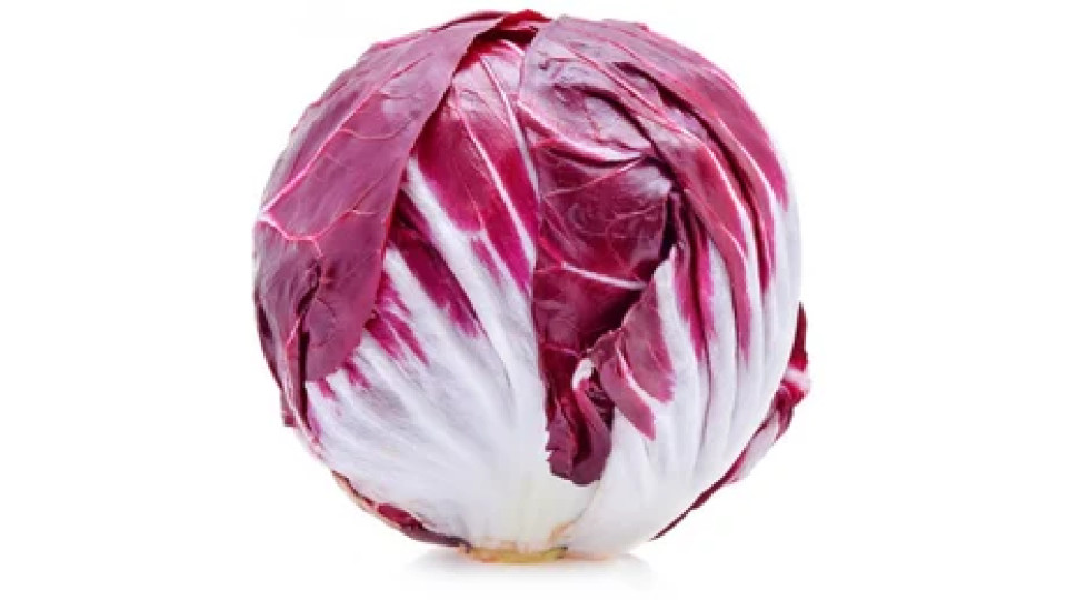 Radicchio rosso tondo sfuse origine Italia categoria I