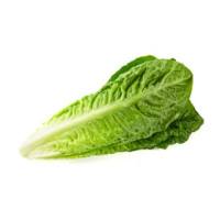 1 x cespo Insalata Lattuga Romana sfusa cat. I origine Italia