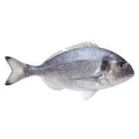 Orata Intera Pulita Allevata Grecia 300/400 280 g circa