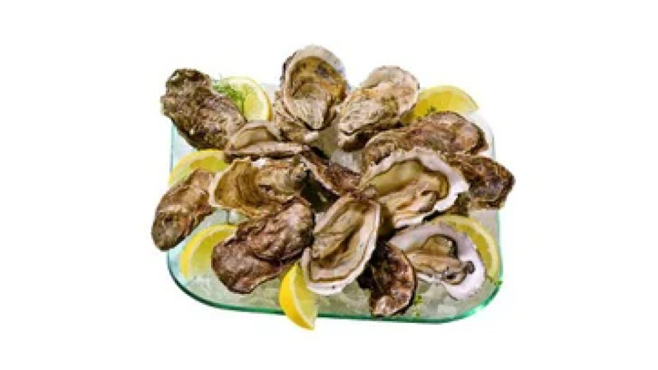 Ostriche selection allevate Francia