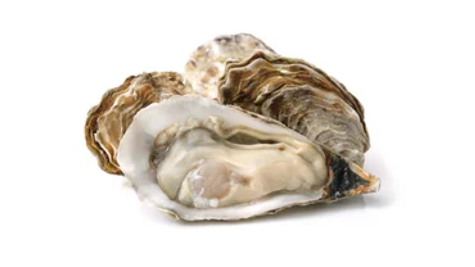 Ostriche Spéciales de Bretagne Filiera Qualità Carrefour