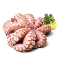 Polpo Arricciato