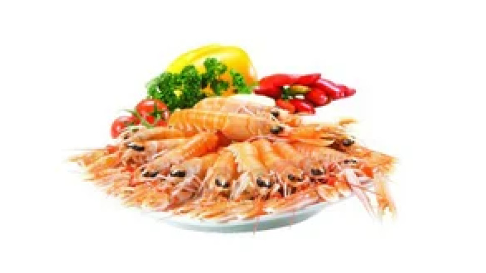 Scampi pescati Oceano Atlantico con reti da traino