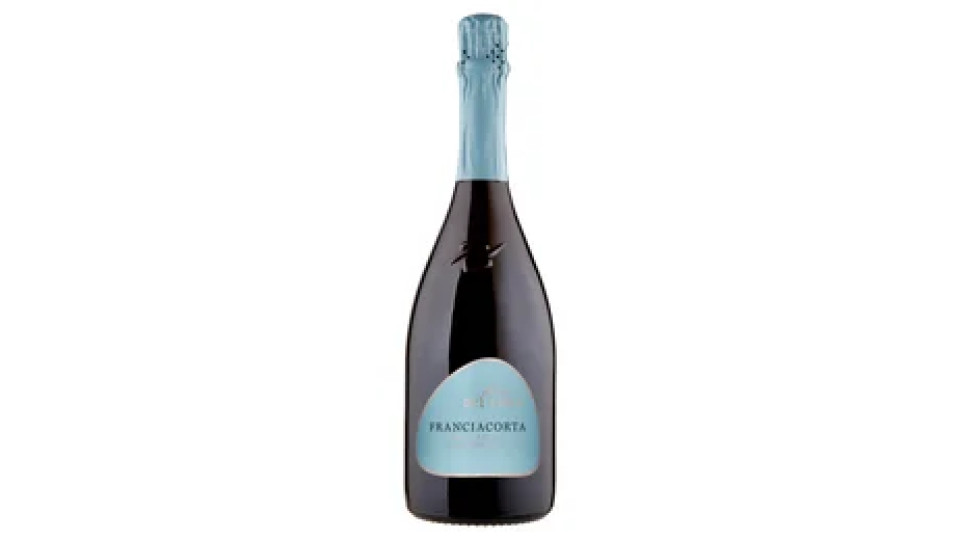 Terre d'Italia filari del Lago Franciacorta Brut Satèn Millesimato DOCG 75 cl