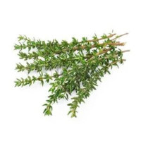 Timo 30 g 1 €