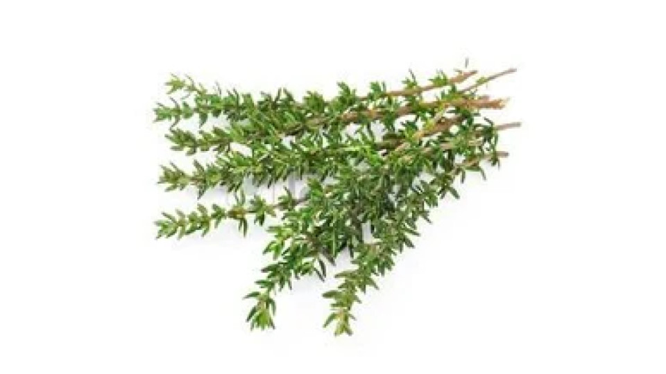 Timo 30 g 1 €