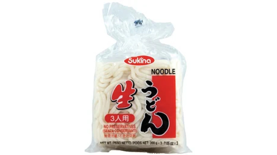 UDON Asian Style Noodles