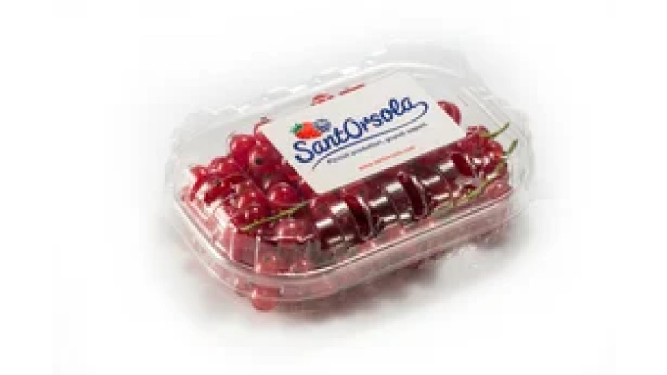 Ribes 125 g