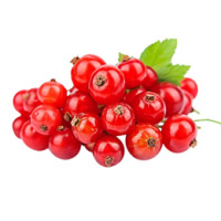 Ribes Gourmet 125 g