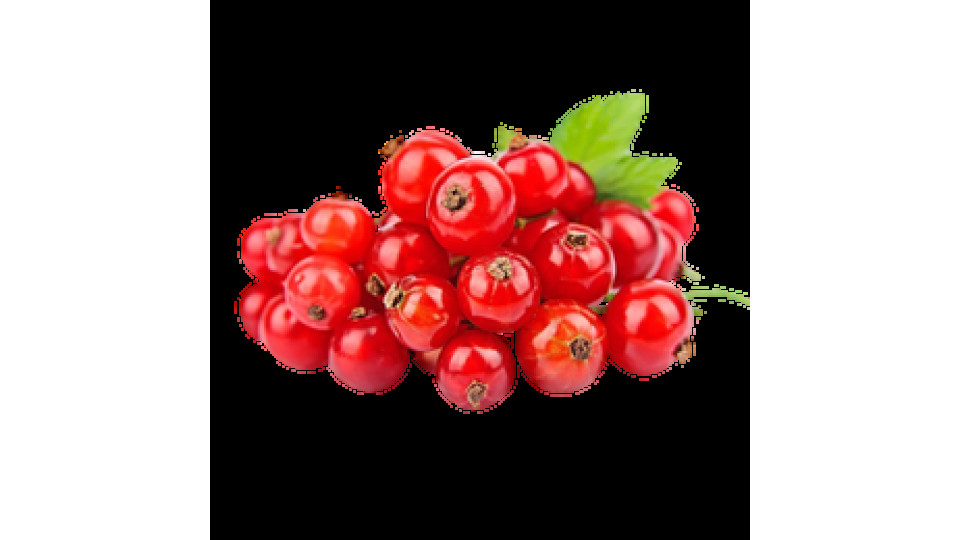 Ribes Gourmet 125 g