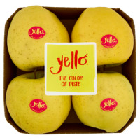 yello by Marlene Shinano Gold vassoio 4 frutti