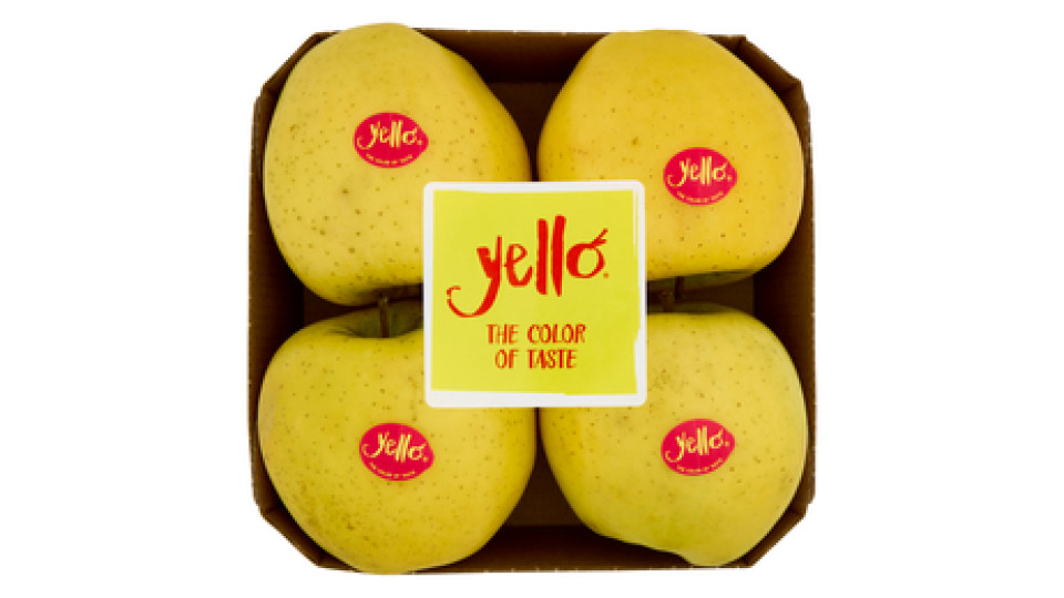 yello by Marlene Shinano Gold vassoio 4 frutti