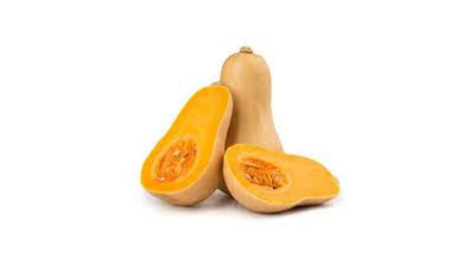 Zucca Butternut sfusa origine Italia categoria I