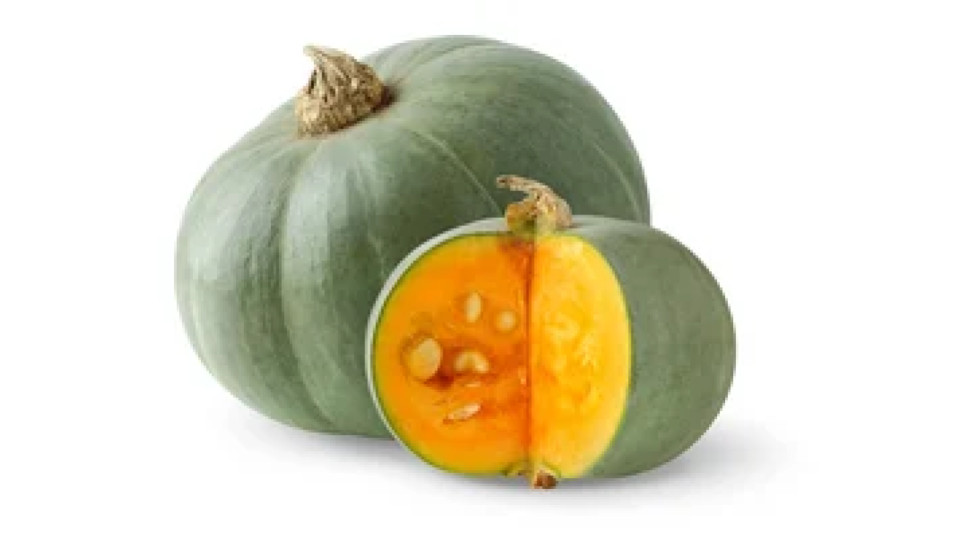 Zucca Castagna Sfusa Vanity
