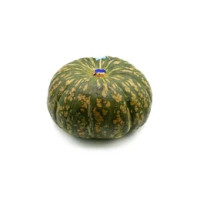 Zucca Delica tonda sfusa origine Italia categoria I
