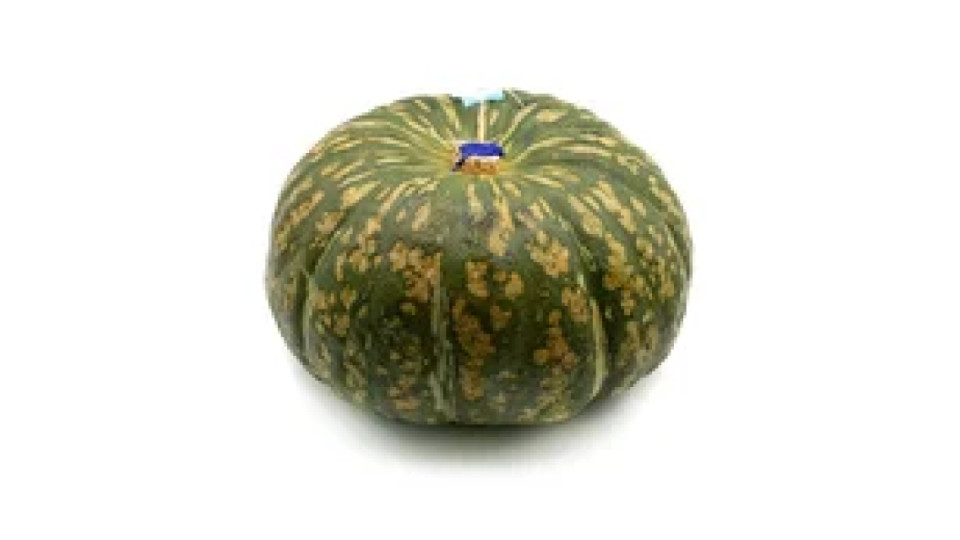 Zucca Delica tonda sfusa origine Italia categoria I