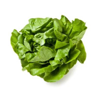 1 x cespo Insalata Lattuga Trocadero sfusa cat. I origine Italia