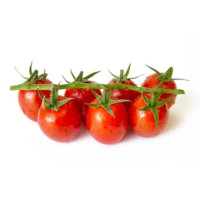 Pomodoro Superiore senza nickel