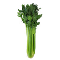 Sedano verde sfuso 300 g Italia