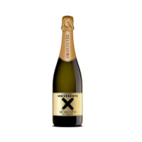 Spumante Moscato Dolce Irriverente