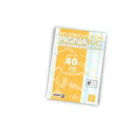 Pigna Ricambi Pignaric A4 con Banda Rinforzata 40 Fogli 80 gr