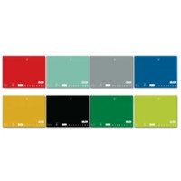 Pigna Quaderno Monocromo A4 quadrettoni 10mm 1a elementare colori assortiti