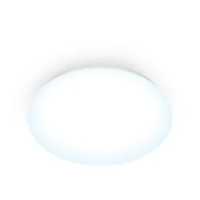 WiZ Lampadina Smart Adria Dimmerabile Luce Bianca Fredda LED integrato