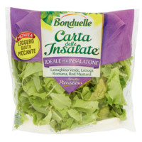 Carta delle Insalate Ricetta Saporita