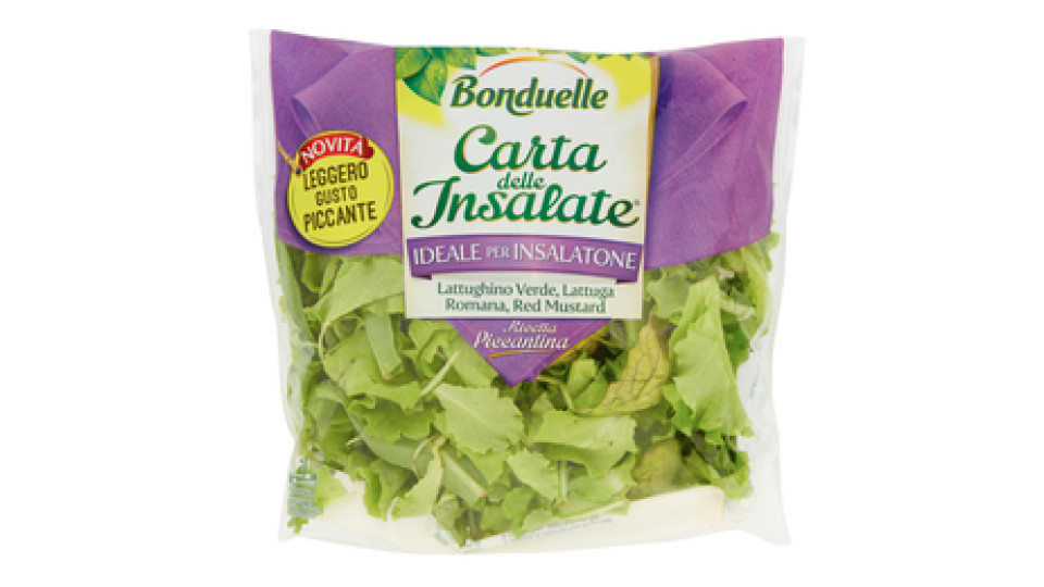 Carta delle Insalate Ricetta Saporita
