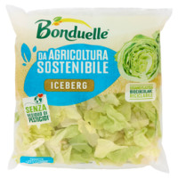 Bonduelle Iceberg & carote