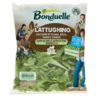 Bonduelle Lattughino