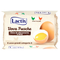 Lactis Uova Fresche 6 uova grandi categoria A