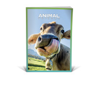 PaperDream Maxi quaderno Animal Friends A4 100gr rigatura C