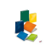 Pigna 8005235155244 raccoglitore ad anelli A4 Colori assortiti
