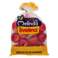 Melinda evelina Calibro 65/70 mm 2 kg