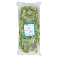 OrtoRomi Lattughino 400 g