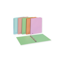 Favorit 400115584 raccoglitore ad anelli A4 Multicolore