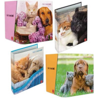 Pigna 8005235101548 raccoglitore ad anelli A4 Colori assortiti