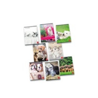 Pigna 8005235139114 quaderno per scrivere A4 42 fogli Multicolore