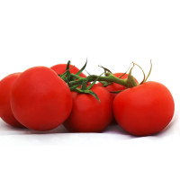 Pomodoro tondo insalataro sfuso origine Italia