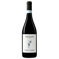 PINOT NERO DELL'OLTREPO PAVESE