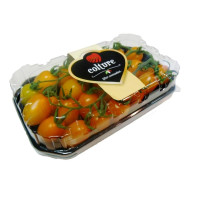 Pomodoro Datterino Giallo