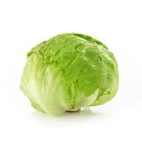 1 x cespo insalata Lattuga Iceberg sfusa cat. I origine Italia