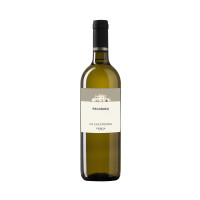 Pecorino Terre d'Abruzzo IGT La Calenzana