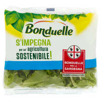 Bonduelle Voglia di Lattughino 70 g