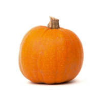 Zucca Grande da Decorare Halloween