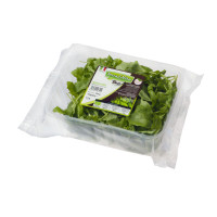 Rucola Tagliata e Lavata Bio