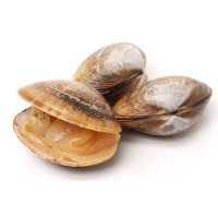 Vongole veraci