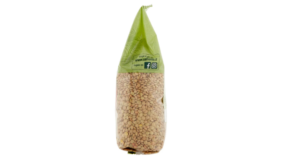 Lenticchie